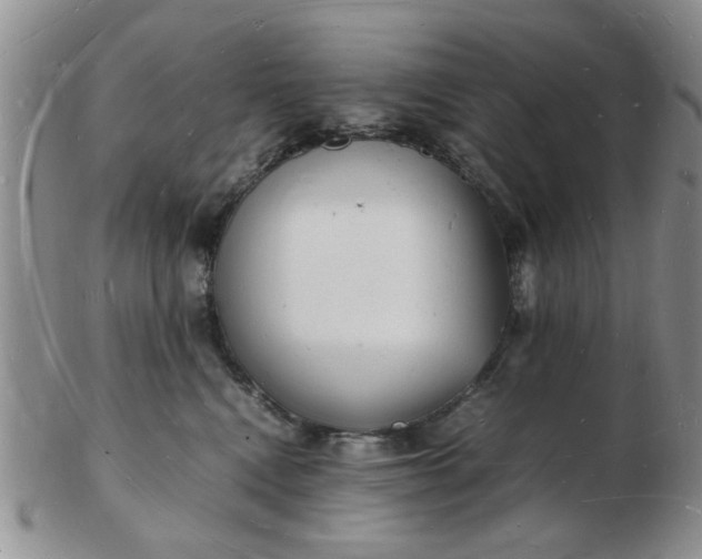 X0000103290472200809122011