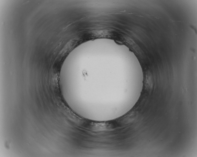 X0000103290473200809122011