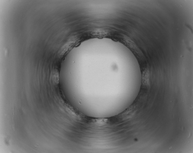 X0000103290474200809122011