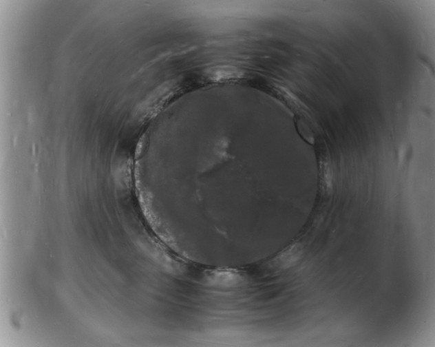 X0000103290475200809122011