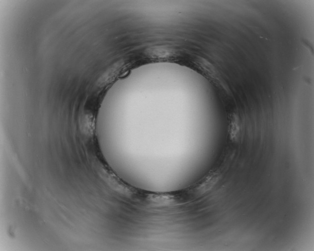 X0000103290476200809122011