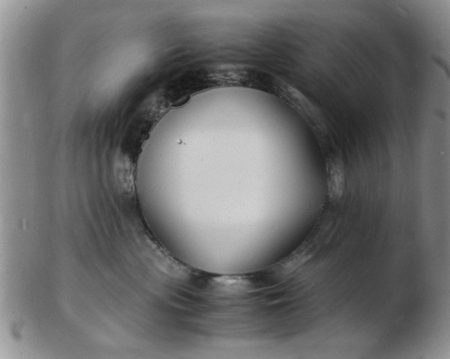 X0000103290477200809122011