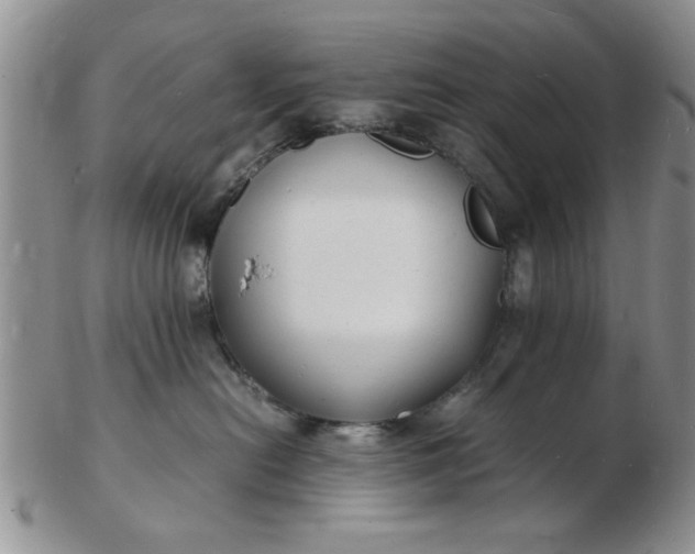 X0000103290478200809122011