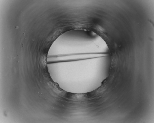 X0000103290479200809122011