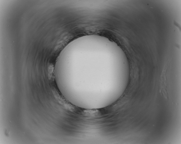 X0000103290480200809122011