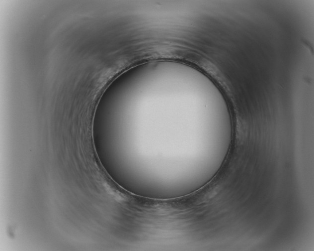 X0000103290481200809122011