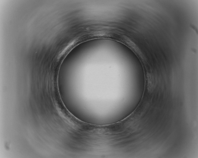 X0000103290482200809122011