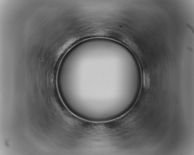 X0000103290483200809122011