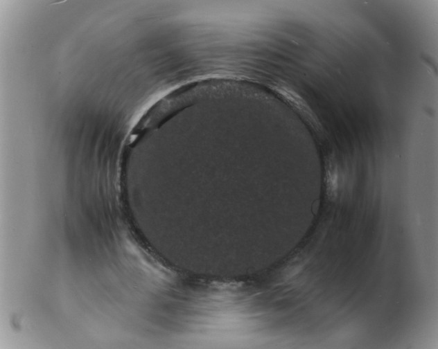 X0000103290484200809122011