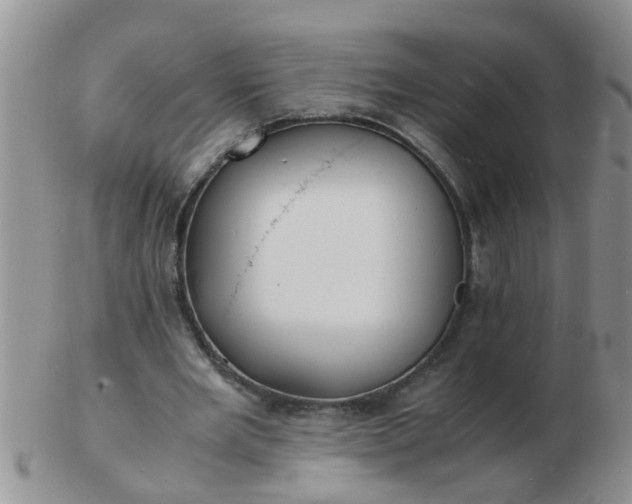 X0000103290485200809122011