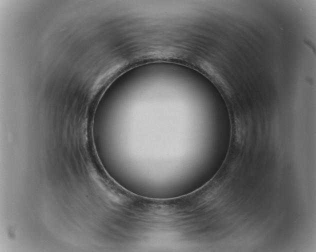 X0000103290486200809122011