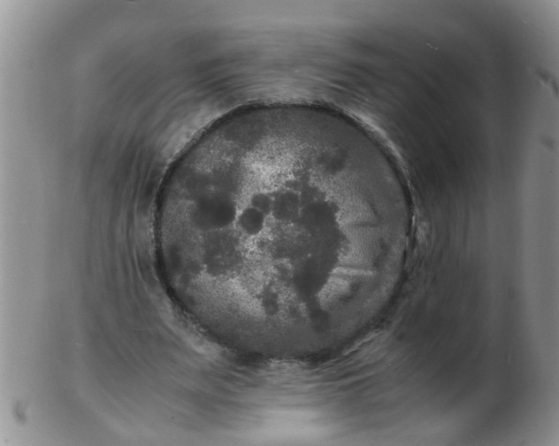 X0000103290487200809122011