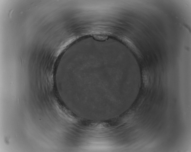 X0000103290488200809122011