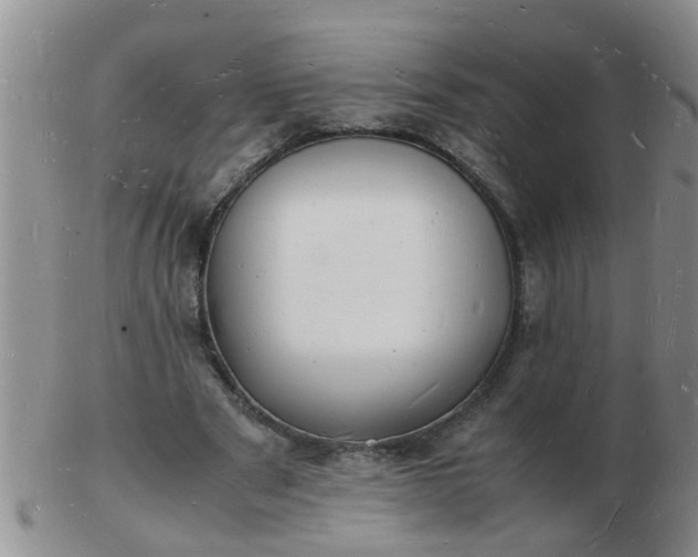 X0000103290489200809122011