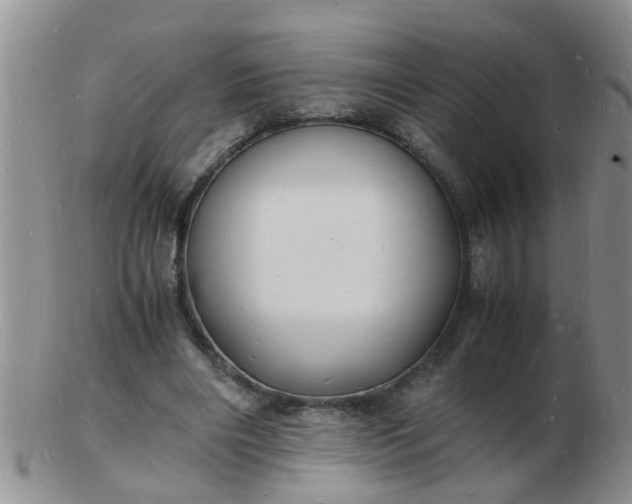 X0000103290490200809122011