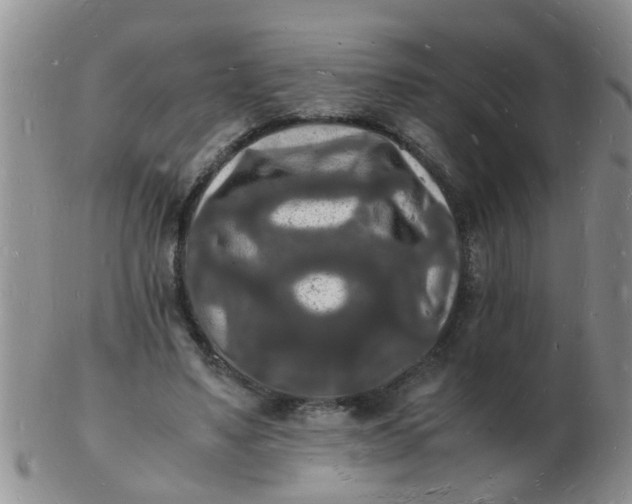 X0000103290491200809122011