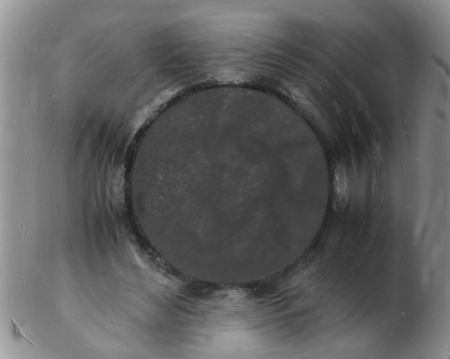 X0000103290492200809122011