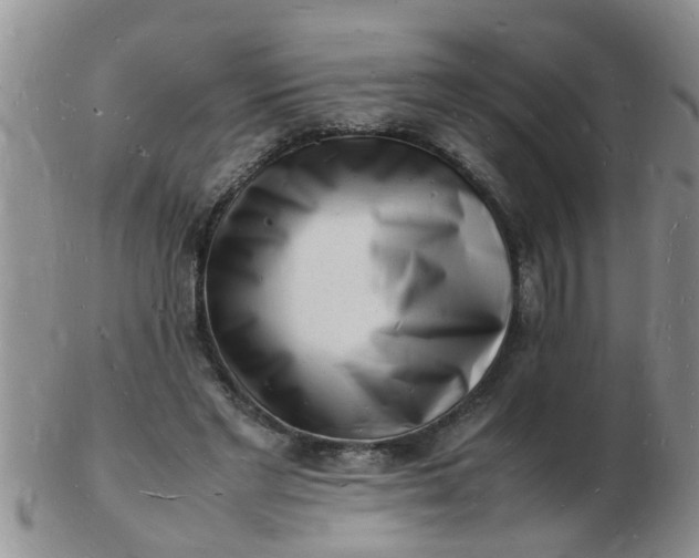 X0000103290493200809122011