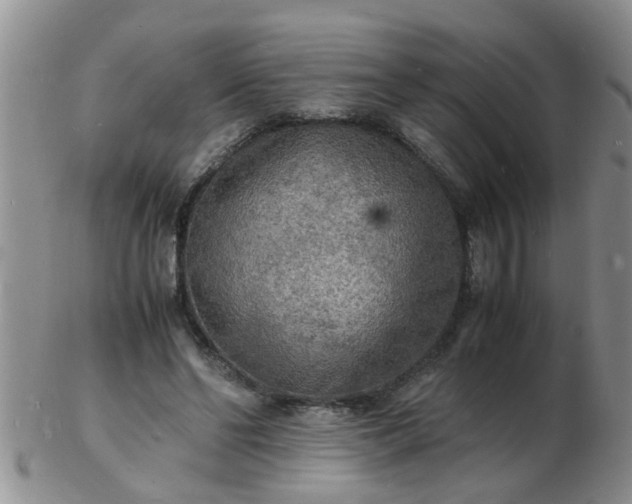 X0000103290494200809122011