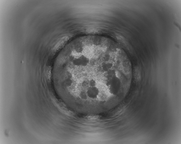 X0000103290495200809122011