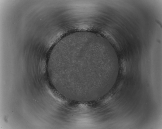 X0000103290496200809122011