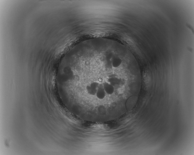 X0000103290499200809122011