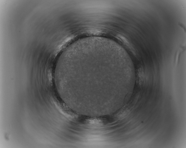 X0000103290500200809122011