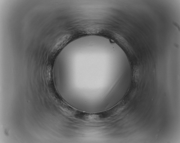 X0000103290501200809122011