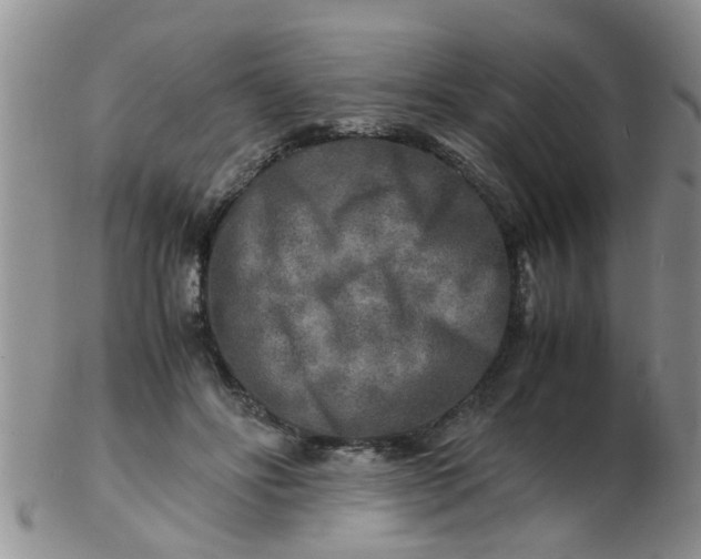 X0000103290502200809122011