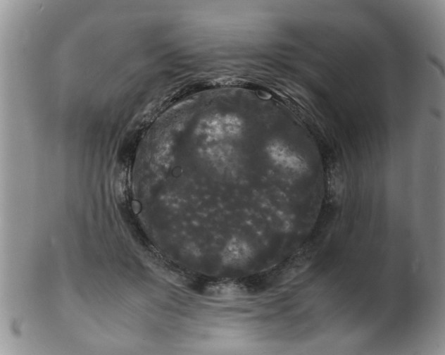 X0000103290503200809122011