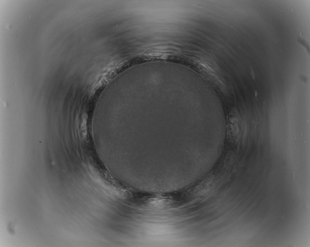 X0000103290504200809122011