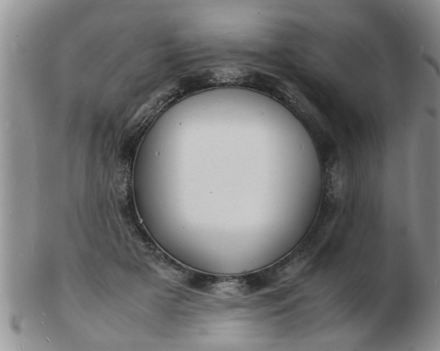 X0000103290505200809122010