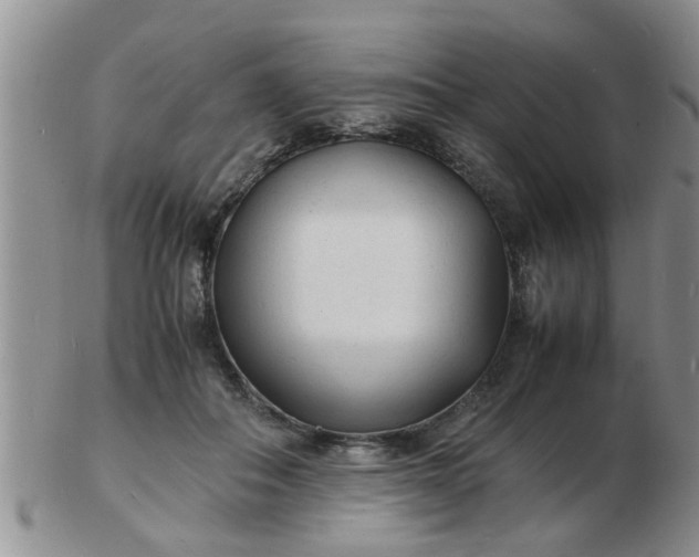 X0000103290506200809122010