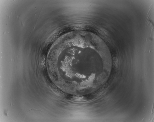 X0000103290507200809122010