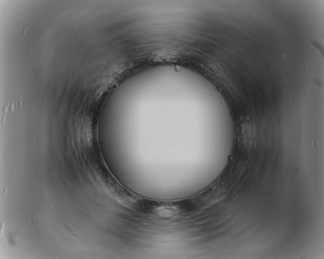 X0000103290508200809122010