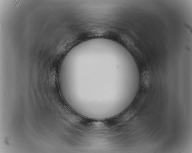 X0000103290509200809122010