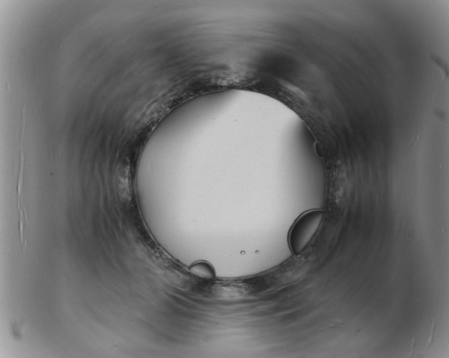 X0000103290510200809122010