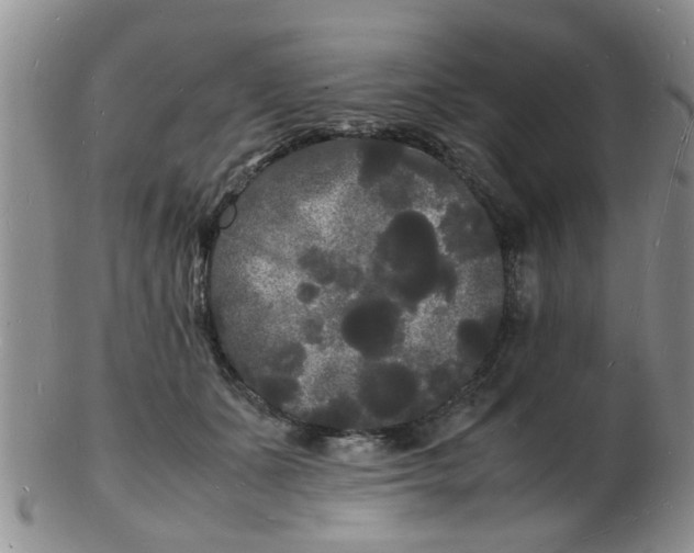 X0000103290511200809122010