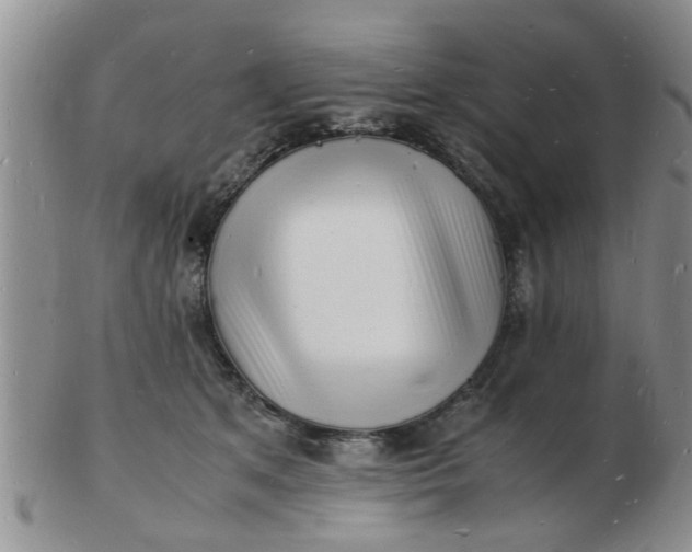 X0000103290513200809122010