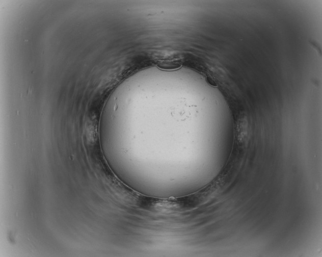 X0000103290515200809122010