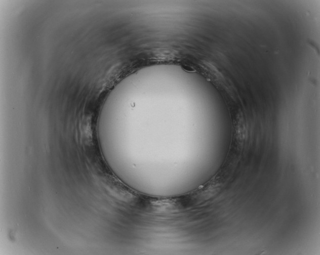 X0000103290516200809122010