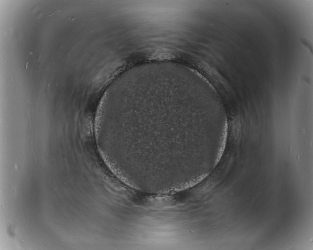 X0000103290517200809122010