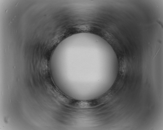 X0000103290518200809122010