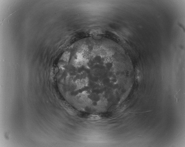 X0000103290519200809122010