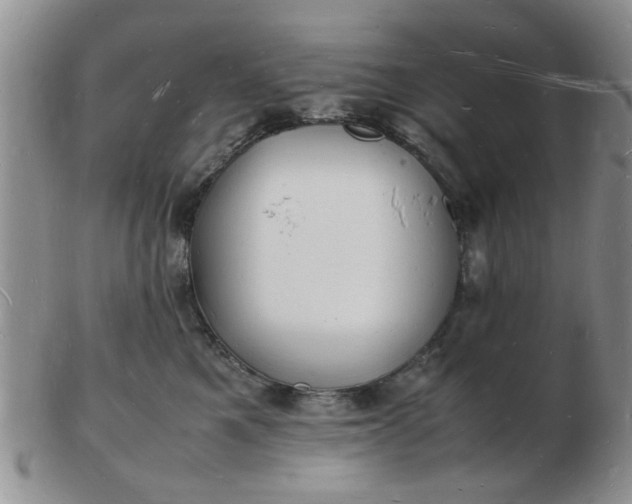 X0000103290521200809122010