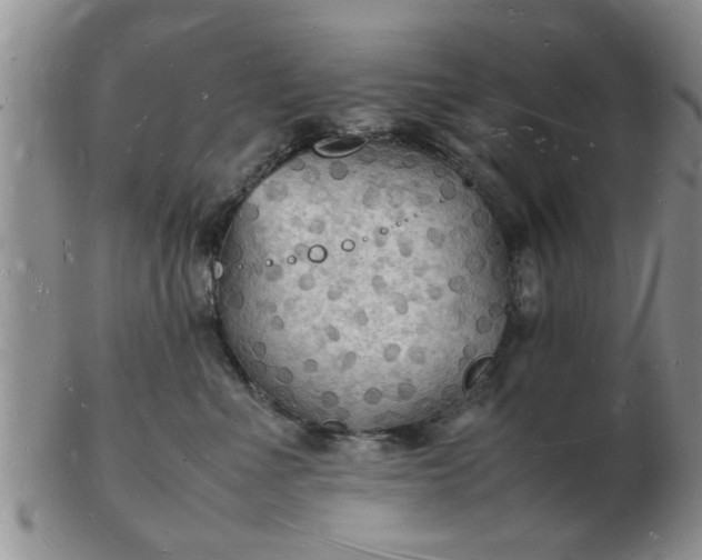 X0000103290523200809122010