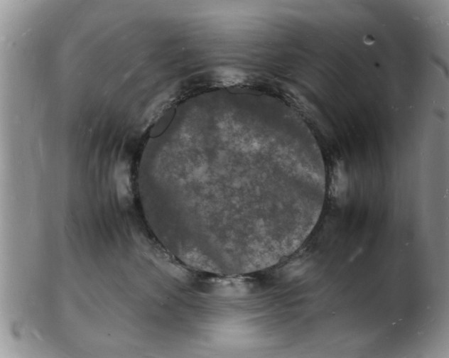 X0000103290524200809122010