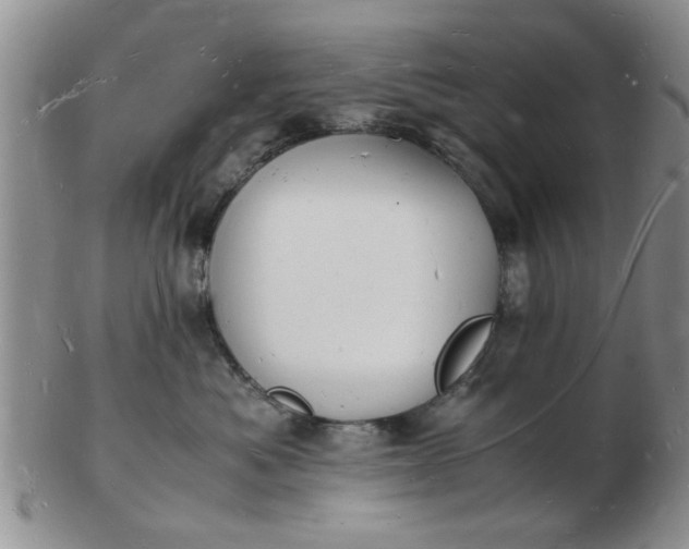 X0000103290525200809122010