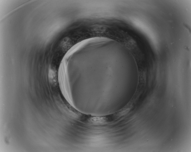 X0000103290526200809122010