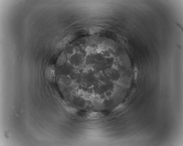 X0000103290527200809122010